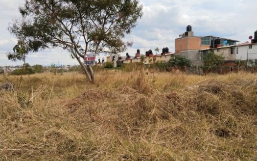 HECTÀREA EN VENTA UBICADA EN TORREÓN NUEVO